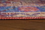 Conceptum Soul Chenille - Red AL 98 Multicolor